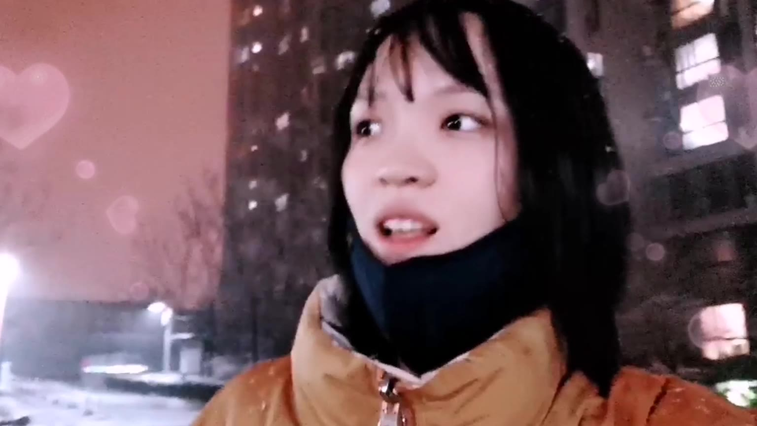 下雪了,谁想和我在雪中漫步?美呆了!